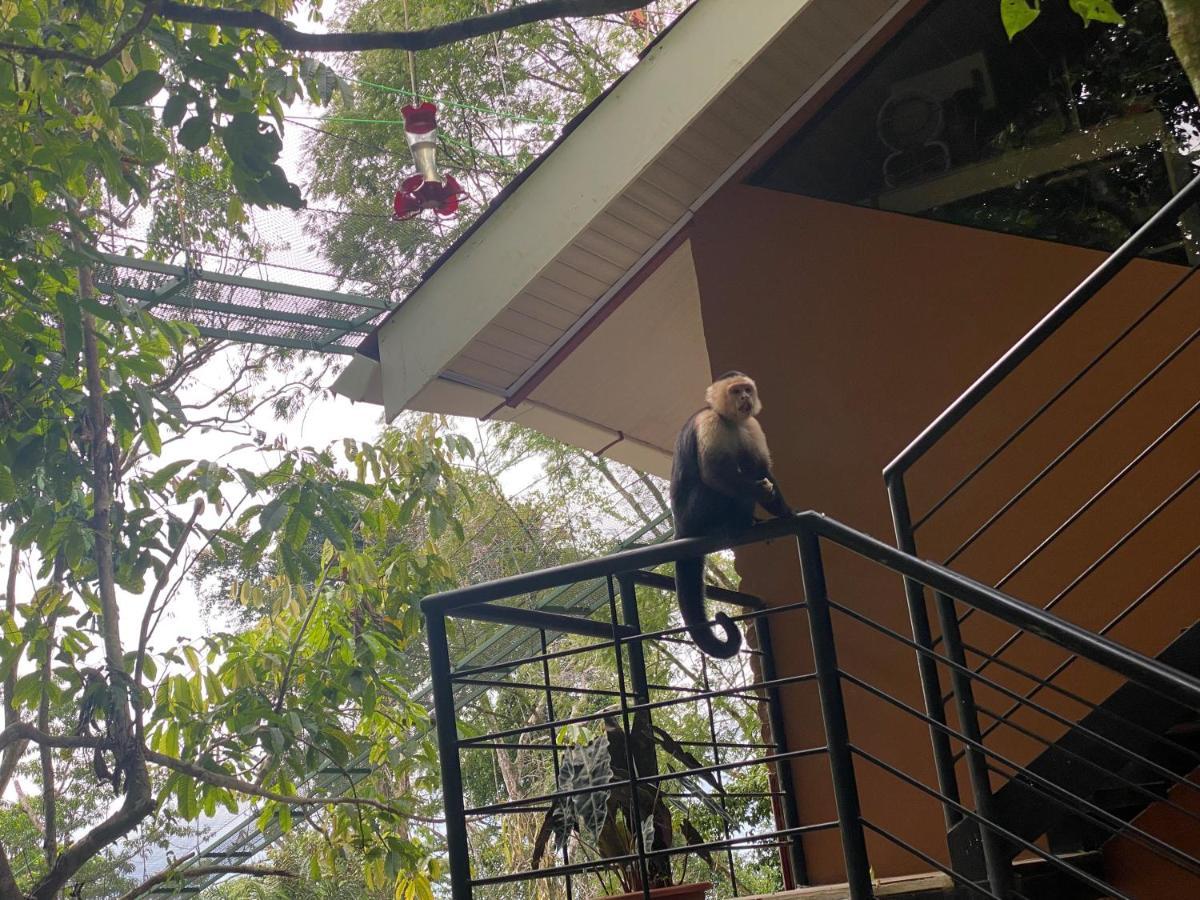 Mountain Top Park Hotel كيبوس المظهر الخارجي الصورة