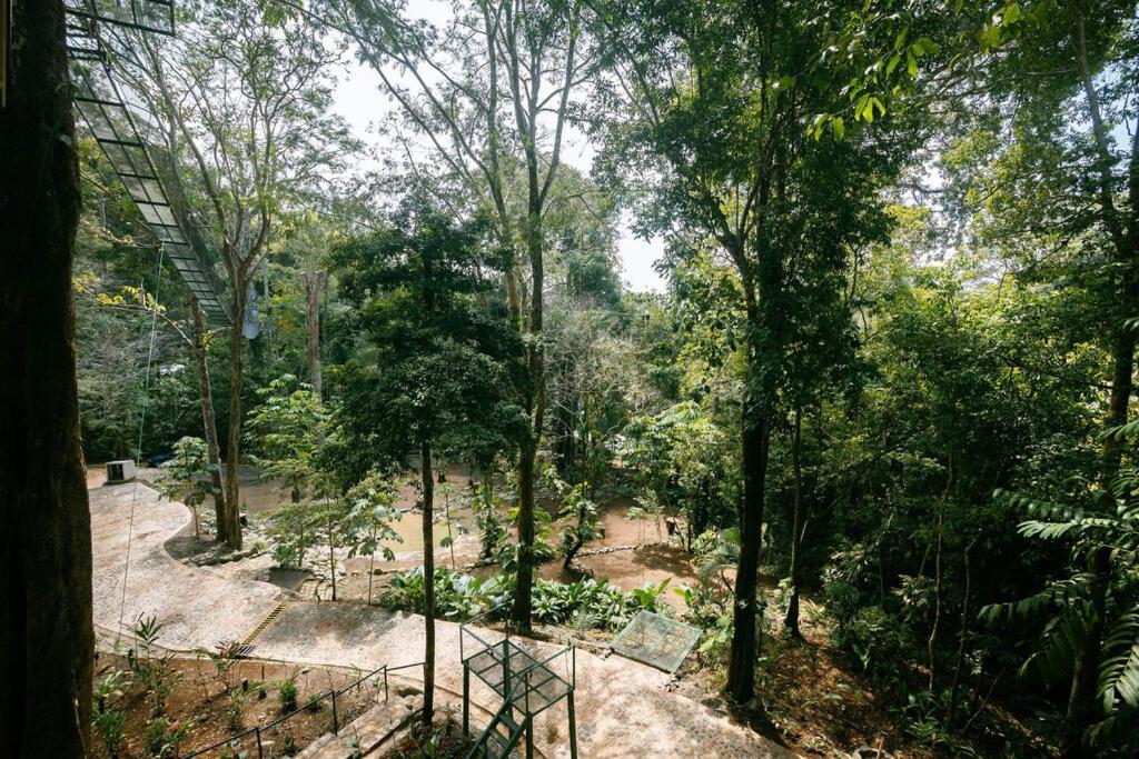 Mountain Top Park Hotel كيبوس المظهر الخارجي الصورة